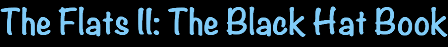 The Black Hat Book