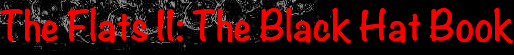 The Black Hat Book